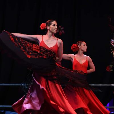 Art Flamenco